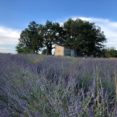 Cabanon Du Berger Villa Saignon Luaran gambar